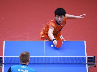 換熱器廠家提前祝賀國(guó)乒包攬世界杯冠亞軍！