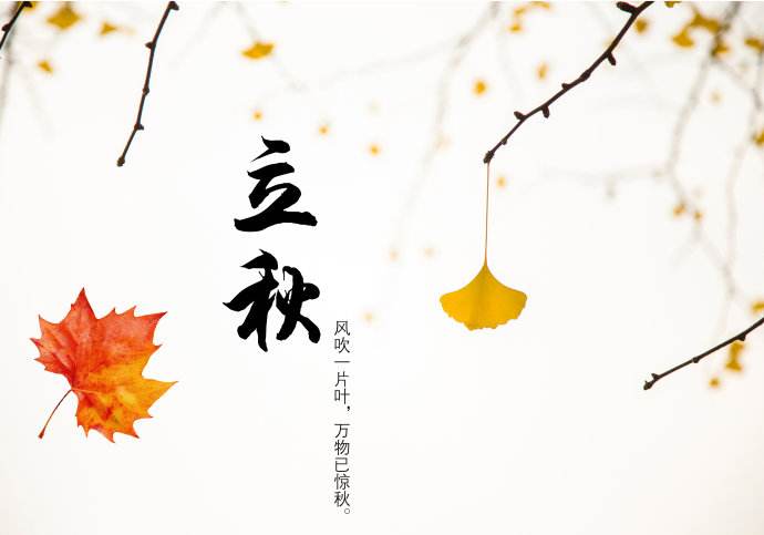 今日立秋，青島瑞普特分享立秋小知識